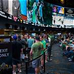 how to bet sports in vegas
